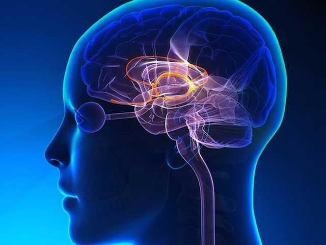 S1NvozJiQ2mN0lB3ZYkW_KVLPM4BLTvWbZGIPW56W_avp-academy-sports-psychology-5 S1NvozJiQ2mN0lB3ZYkW_KVLPM4BLTvWbZGIPW56W_avp-academy-sports-psychology-5